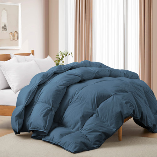 Alwyn Home 600 Fill Power All Seasons Down Comforter & Reviews Wayfair